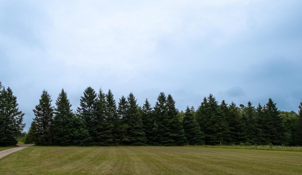 ef65cc0d-50c2-4f41-8313-bc568aa539a0-l.jpeg