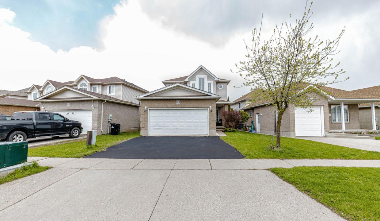 f05329c2-5b2c-45d9-8e0a-37f8e796e393-l.jpeg